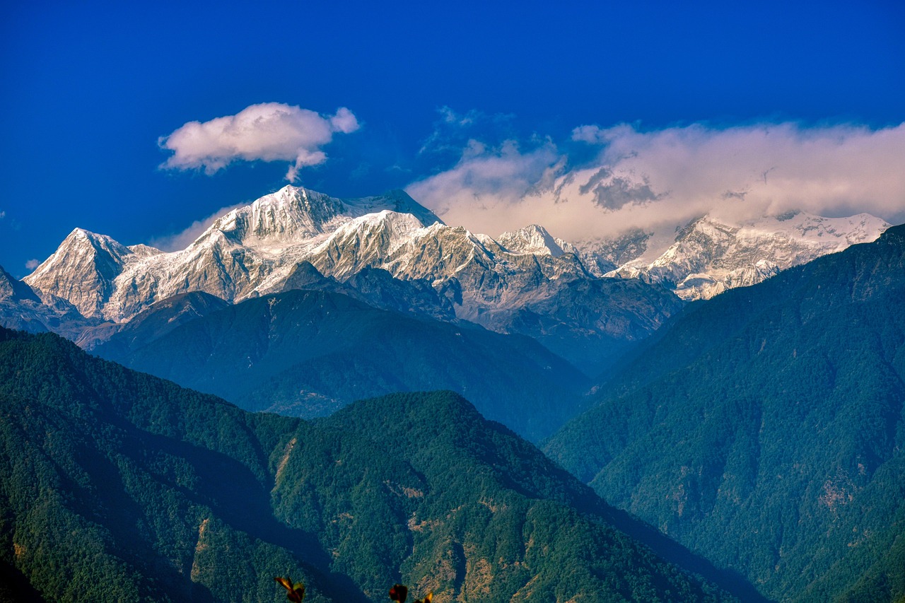 Sikkim Online Gambling Act Explained